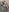 HelenLe_sweet's photo