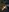 LaraHollywood's photo