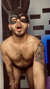 adamhairy: sexy and hot bunny ( 2 фото)