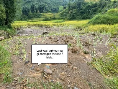 tamaien's photo