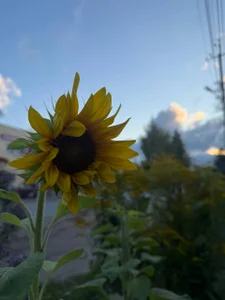 Touch_And_Run Atmospheric shots 🌼 Immagine 