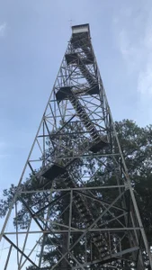 AsleepInEden Fire towers Pic 8