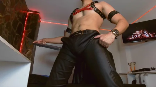 Thonydupont Harness 圖片 4