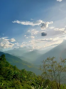 Sisi_dy01 Bình yên, giản dị tôi yêu cuộc sống này❤❤❤ Pic 5