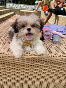 HannaPetit In search of small paradises ... 🌴 Pic 6