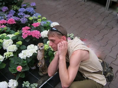 PrimordialChill6 Public Bilde 2