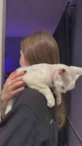 ami_amour_ Dracoooo✨🤍 Immagine  2