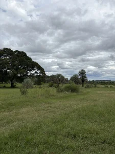 sweetcouple32 kullanıcısının 🌾🐴 albümü -  2 fotoğraf