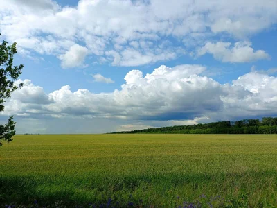 a walk de lilith_diva Foto 4