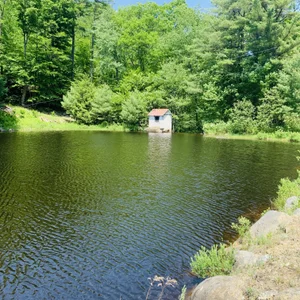 THE_FLOCK: Public ( 4 фото)