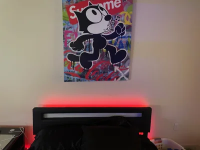 TeximusMax Le Cheatu Immagine  3