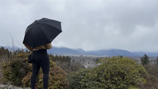 GingerSnap33 Public Immagine  7