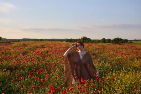 In the poppy field