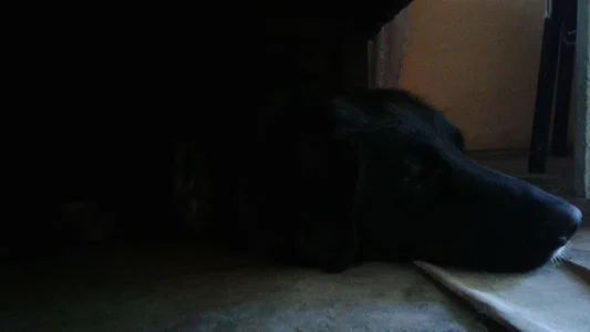 ExquisiteMature The monster under my bed Poză 4