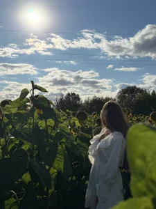 chloemilka Sonnenblume🌻 Foto 4