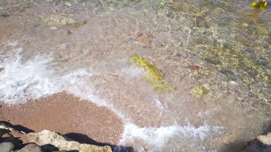 baby_sweet_girl_ Egypt 🇪🇬 Foto 4