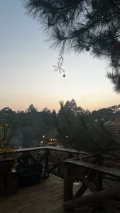 Public de Bubuchan88 Foto 3