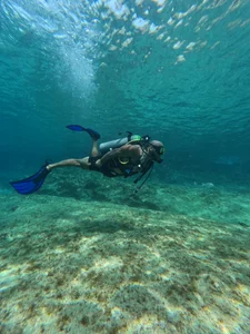 Andrew_Johnnson Mar Εικόνα 6