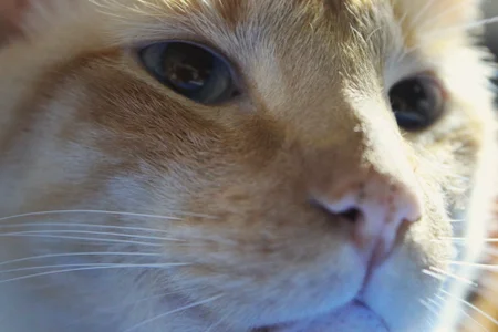 abbyhall_ The loves of my life 🥹 Pic 4