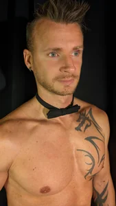 Public de raidboul  6 Imagens