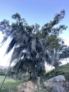 alessandro_musk Public  2. fénykép