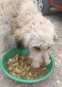 Babba_yagga Actions speak louder than good intentions. Pic 2