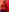 IN RED FOR YOU♥ ENJOY MY TITIS