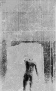 dog-naked Public Immagine  6