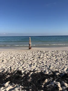 Littlelolo60 Public . fénykép