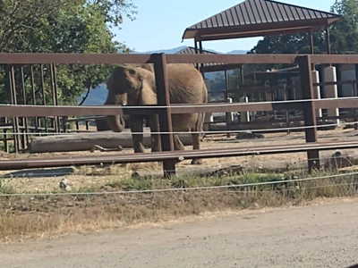 Zdjęcia Evalain_shadow My Travels ✌️:  7