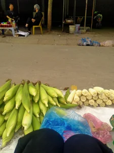 kimori66Public图片 6