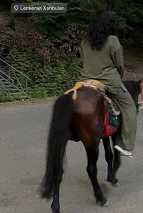 Zdjęcia Muslim_Farida Public:  4