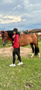 🐴🌻🥰 de belen_green Foto 3