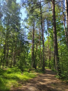 OzellNahari's photo