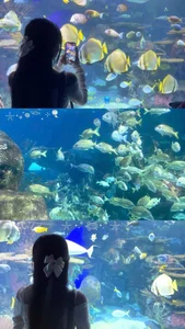 Nana_Chuの🐠の枚の写真