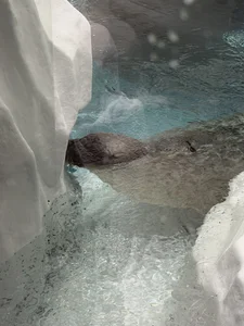 水族館 de souitirou20  4 Imagens