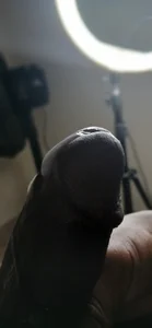 Brillina2024 Public 사진 2