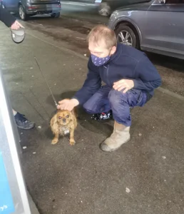 theSmallest-dick Animals Pic 8