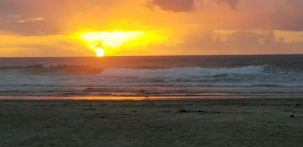 Flowers de faithfulchic  7 photos