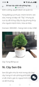 chichlasuongのKtの枚の写真