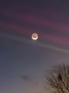 slickwill123 Public Poză