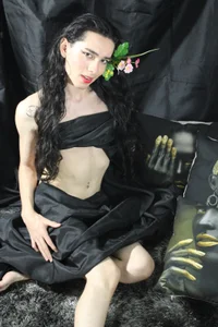 wow de Sharlon_  6 Imagens