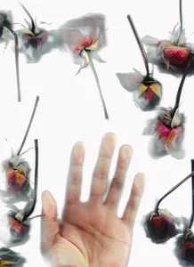 sorry-mom69 the history of flowers Foto 8