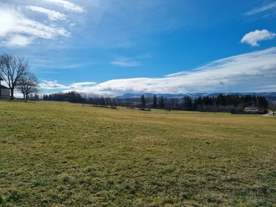 schlecker66 Public Foto