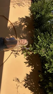 Zdjęcia ameliamiable me ✨🤍:  3