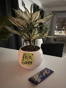 Ethanmiller1 Pics Pic 5