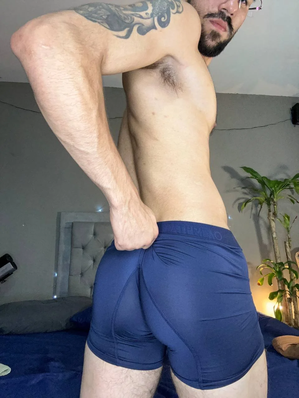Franck_White избранные изображения 4447