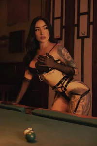 Aria_LynxPublic Bild