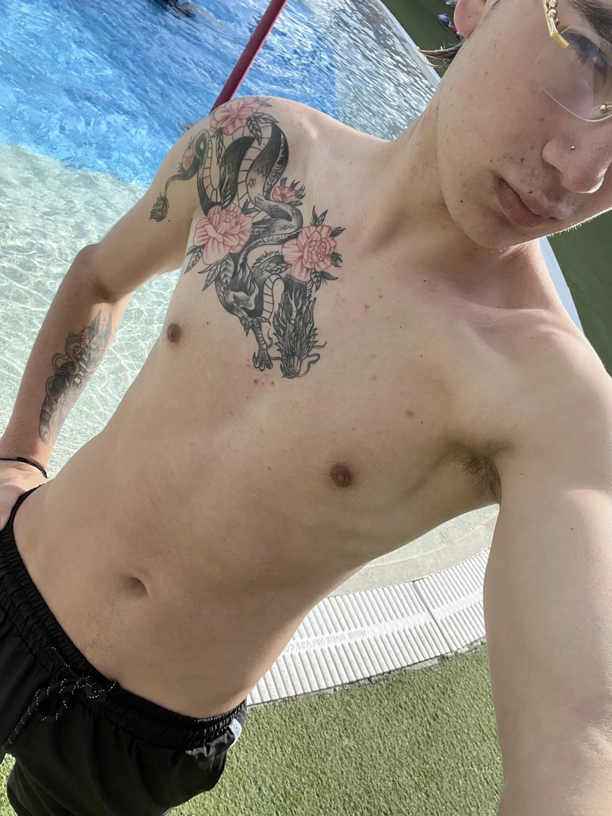 AlexanderCollman2  3060. kiemelt képe