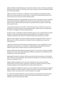 Sexapoly1 kullanıcısının La campagne albümü -  5 fotoğraf